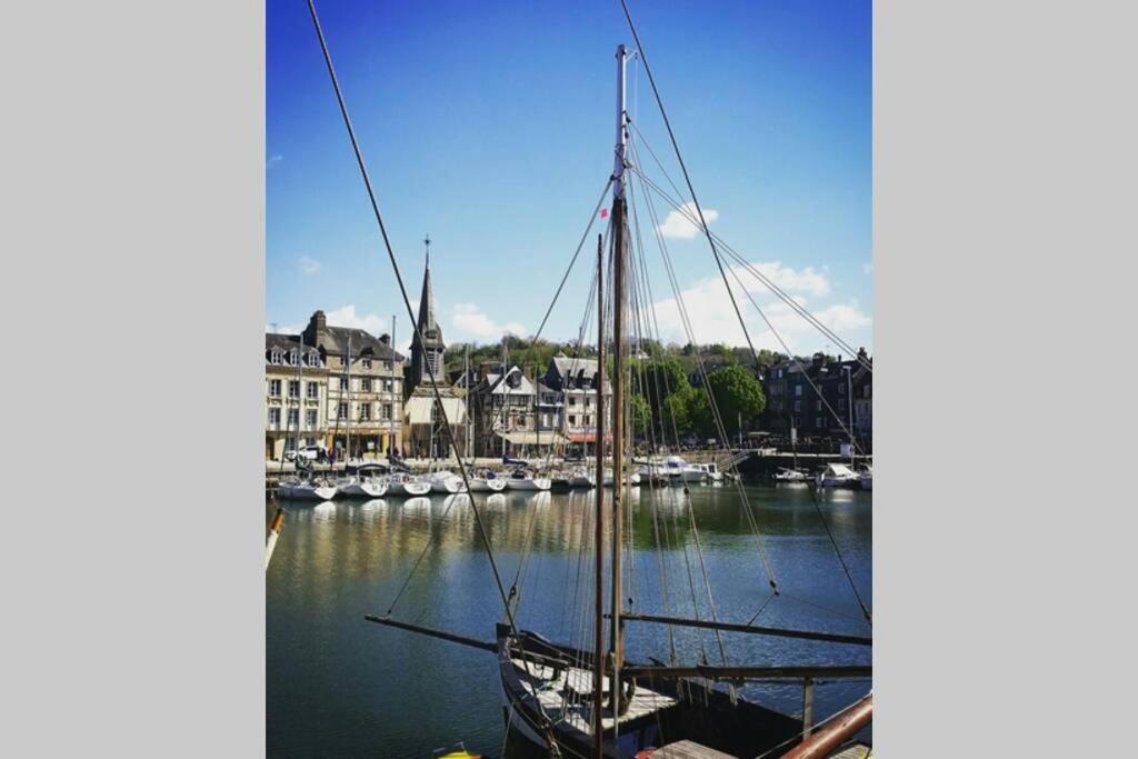 Une Pause Chez Julien, Appartement Lumineux Et Idealement Situe! Honfleur Exteriör bild